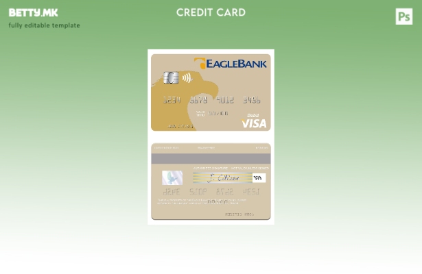 Шаблон за виза за дебитна картичка во модерен стил Nauru Eagle Bank Inc